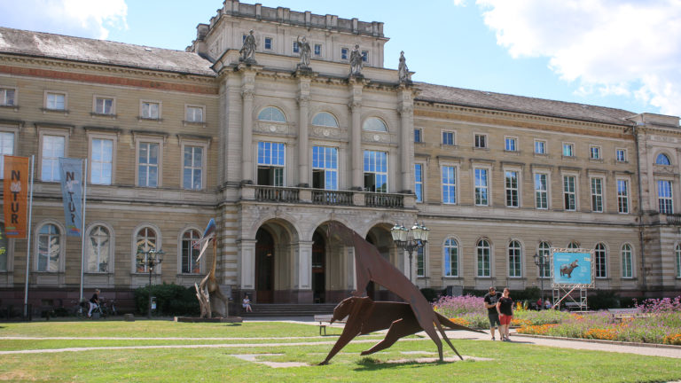Das Naturkundemuseum am Friedrichsplatz.