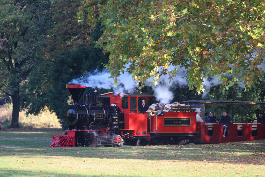 Mit der Schlossgartenbahn durch den Schlossgarten tuckern.
