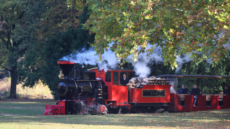 Mit der Schlossgartenbahn durch den Schlossgarten tuckern.