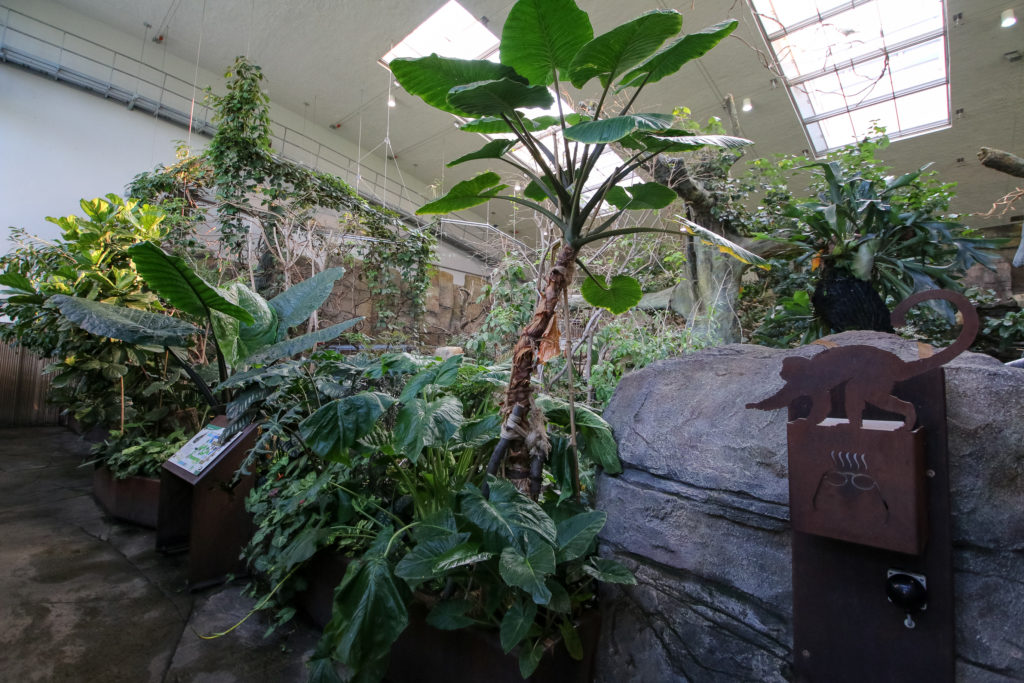 Zoologischer Stadtgarten Karlsruhe - Exotenhaus