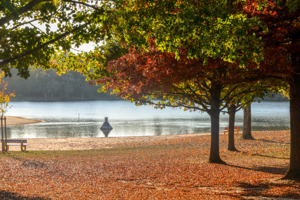 Der Badesee Buchtzig in Ettlingen.