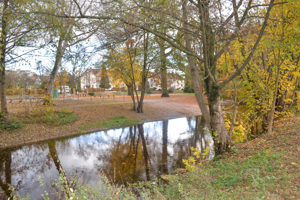 Die Alb bei Weiherfeld-Dammerstock.