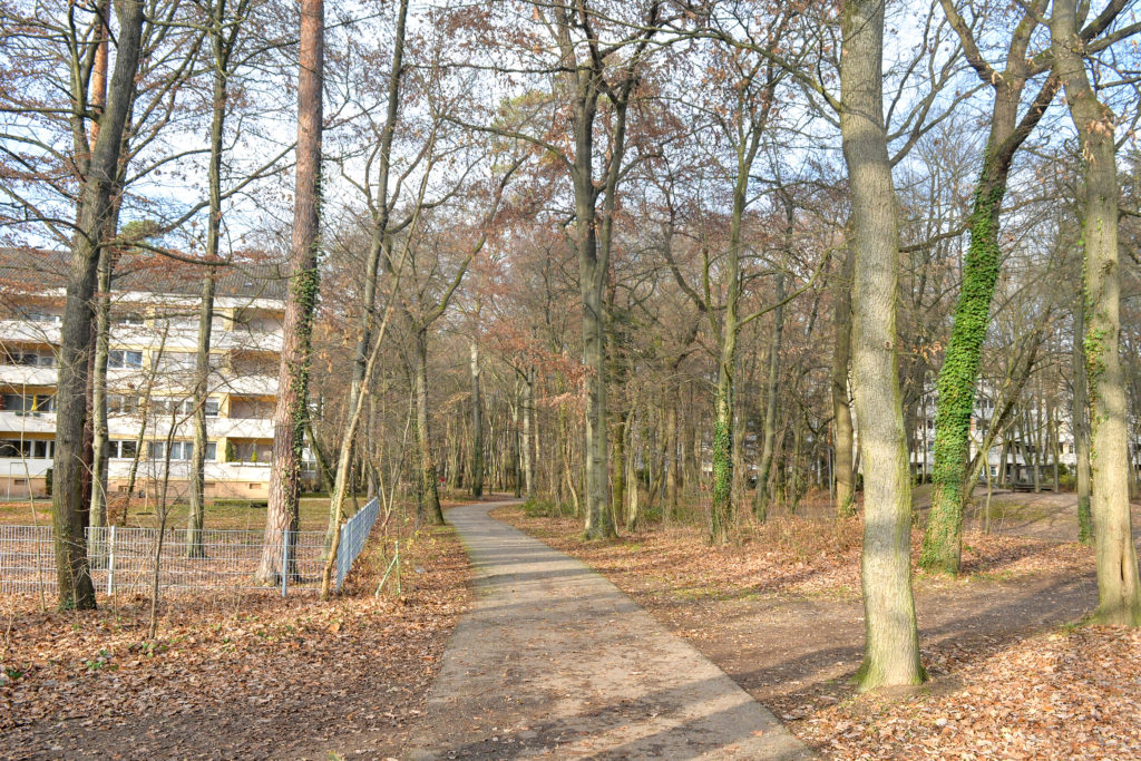 Leben in Hardtwald-Nähe.