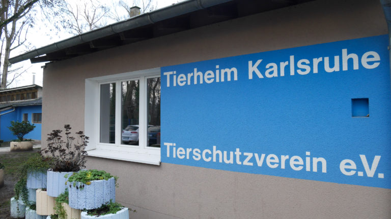 Der Tierschutzverein in Karlsruhe.