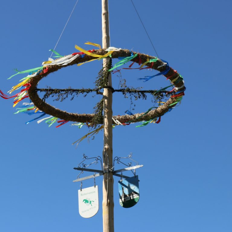 maibaum