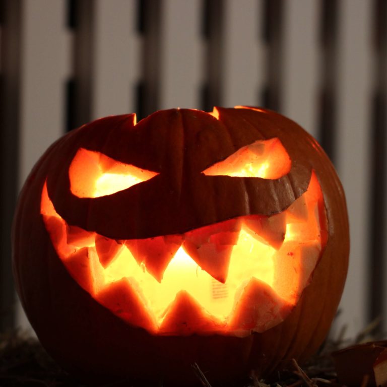 Halloween Kuerbis Symbolbild