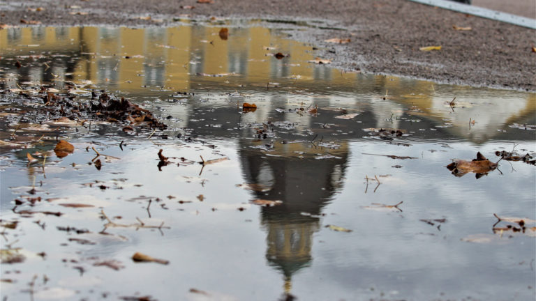 Herbst Regen Schloss Impressionen Blätter Laub