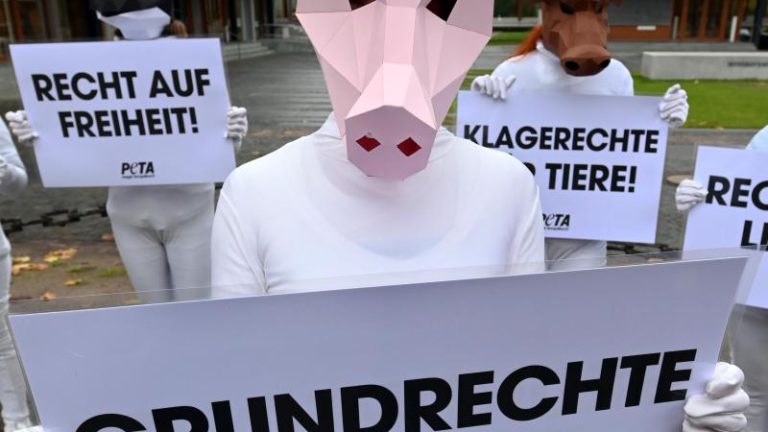 dpa peta