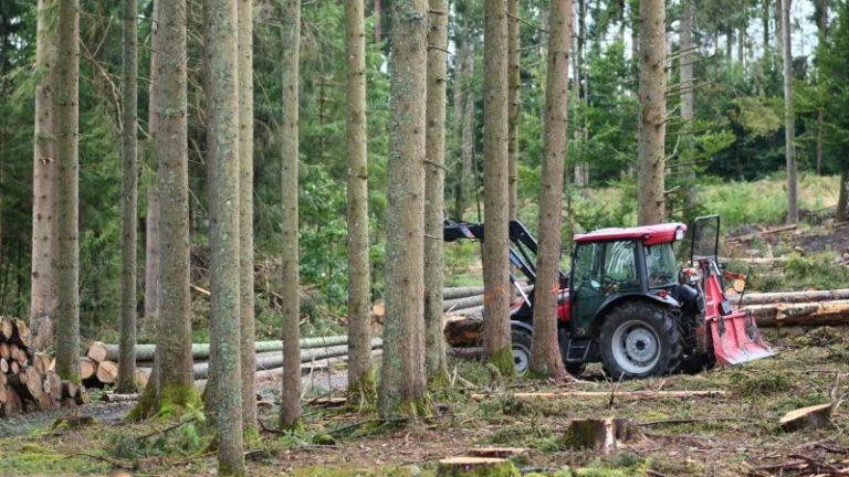 Wald Bäume Hitze Dürre Traktor