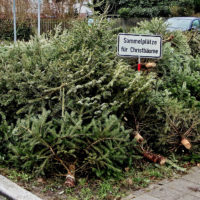 Christbaum Entsorgung Sammelplatz