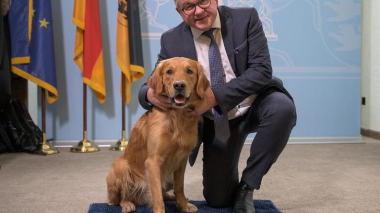 Hund Watson Gericht Guido Wolf