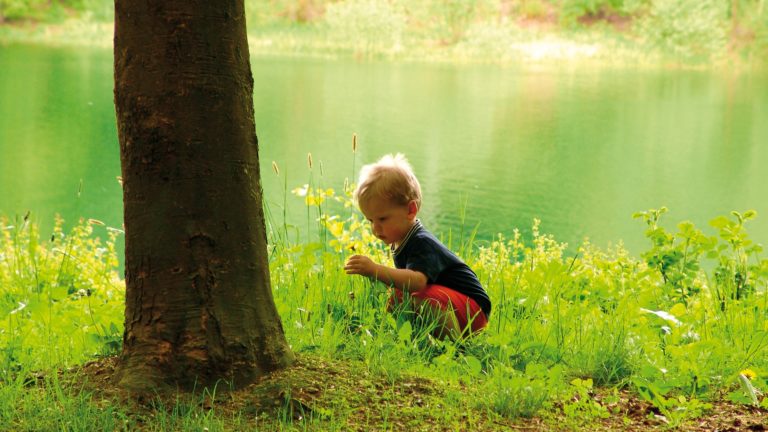 So einfach ist der Klimaschutz auch im Alltag