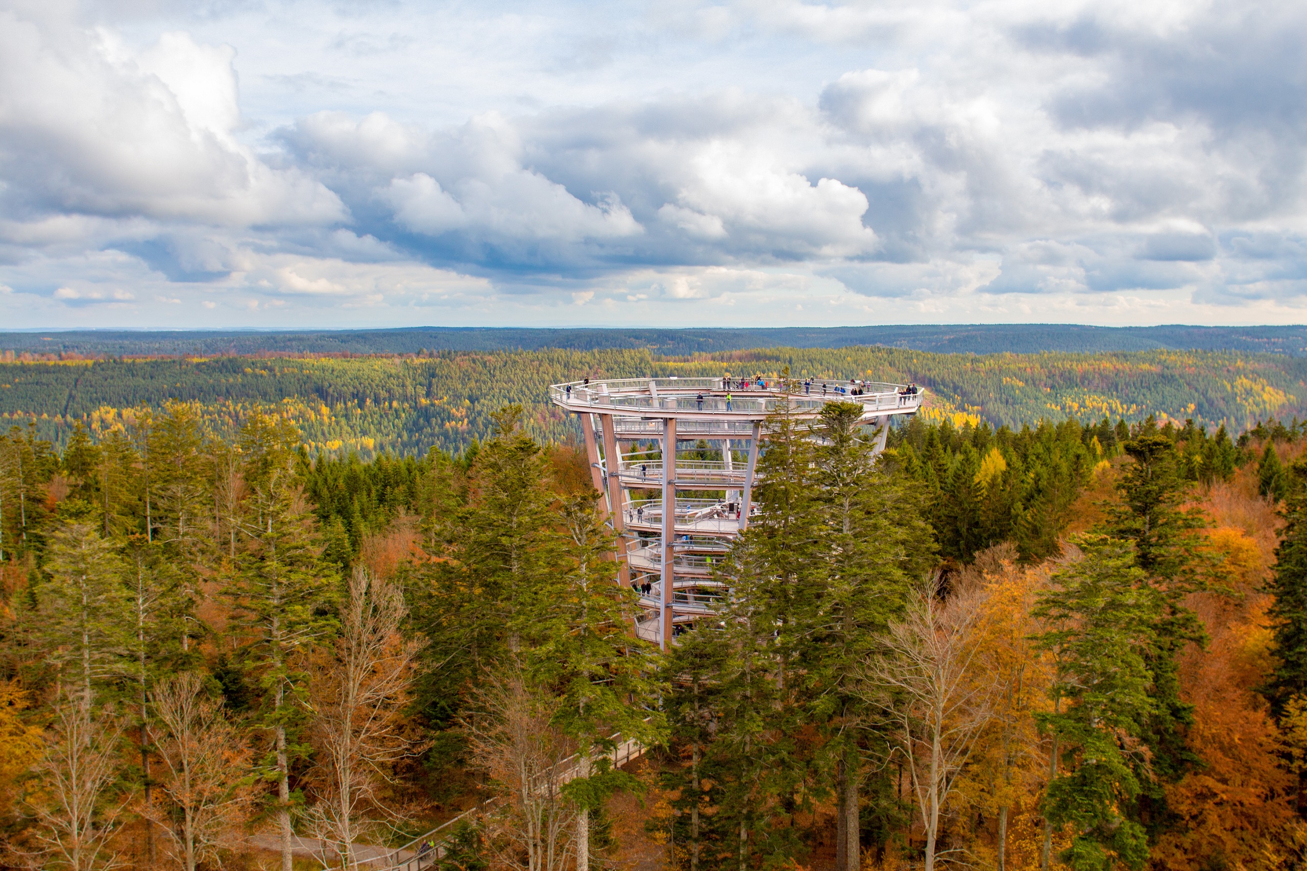 Baumwipfelpfad Bad Wildbad Schwarzwald Ausflug