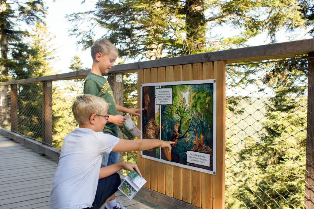 Baumwipfelpfad Bad Wildbad Schwarzwald Ausflug