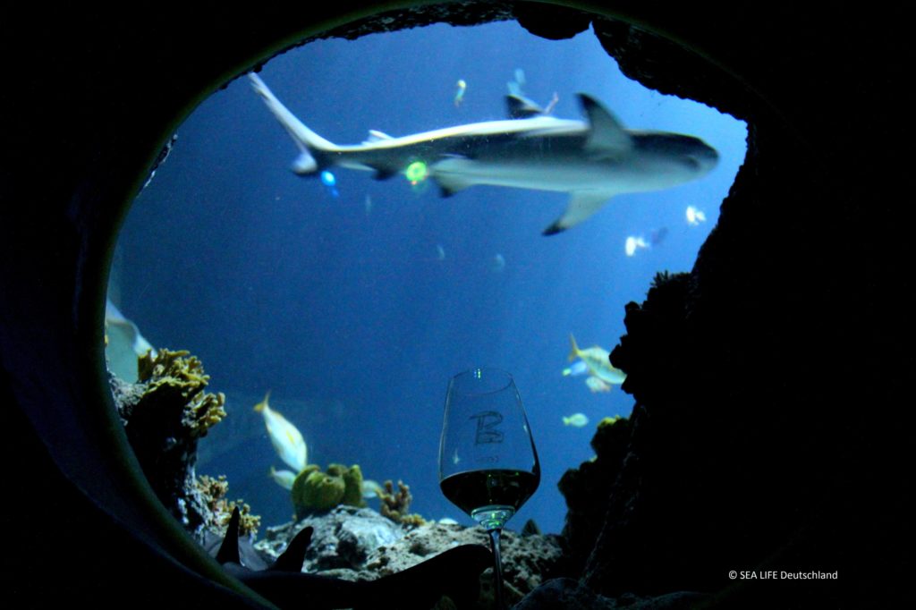 Sea Life Weinprobe