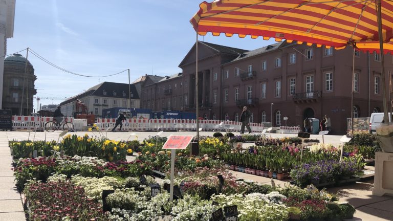 Blumenmarkt auf dem neuen Marktplatz Karlsruhe