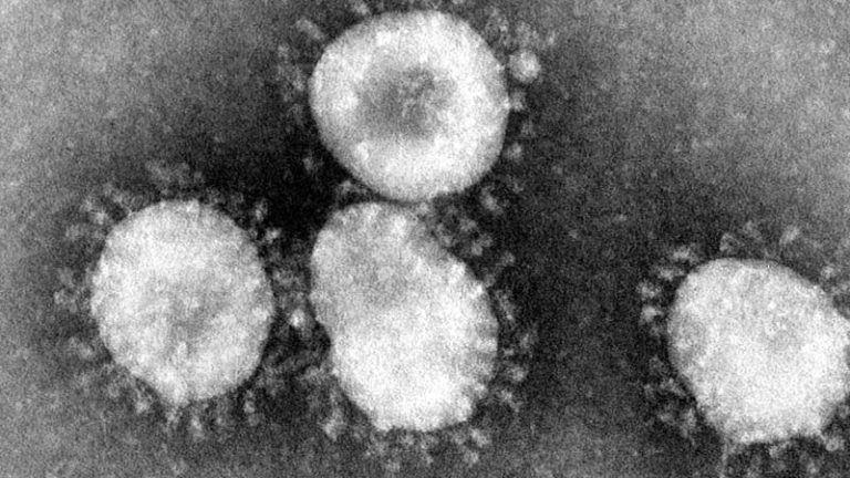 Coronavirus Corona Virus