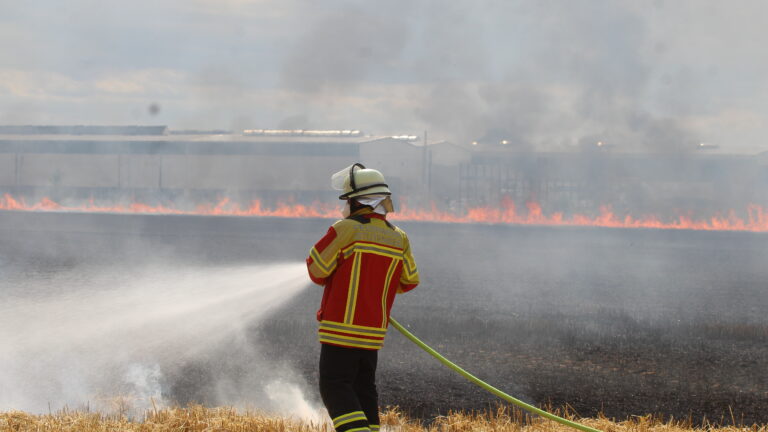 flaechenbrand-stutensee-2022-tr