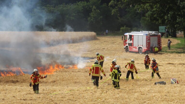 flaechenbrand-stutensee-2022-tr